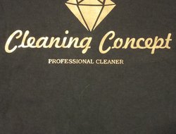 Cleaning Concept